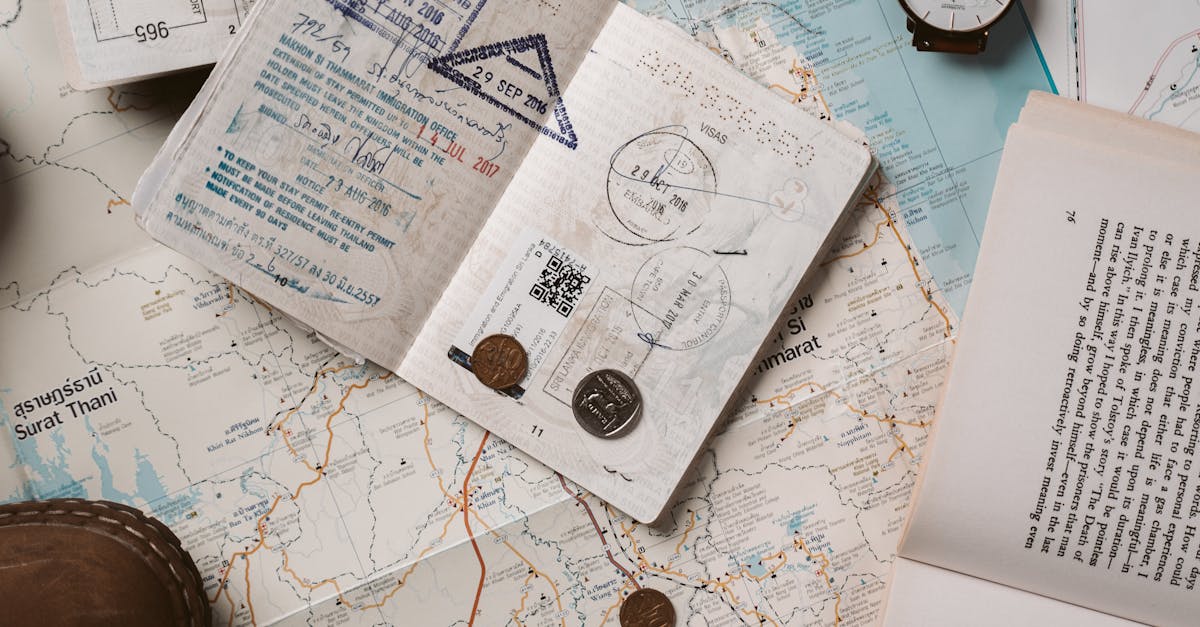 How to book flights at the best time for travel savings
