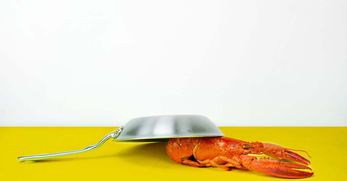 twin lobster specials near me